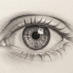The Art of Seeing: A Beginner’s Guide to Drawing Realistic Eyes